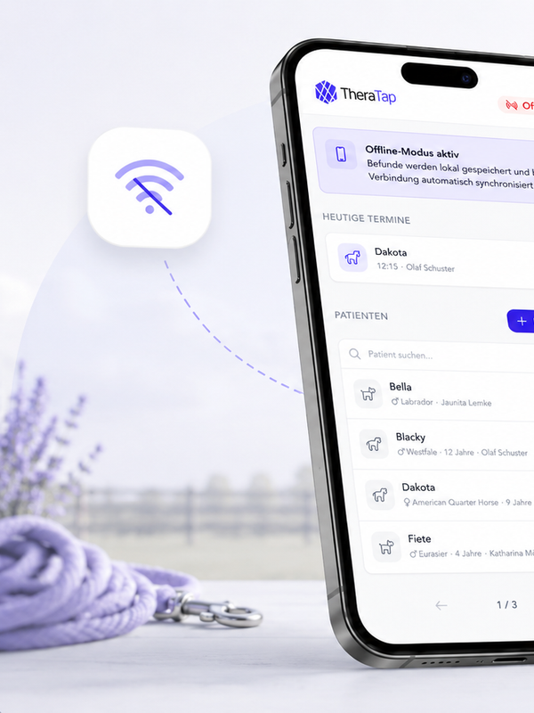 Home visit & offline mode Home visit & offline mode